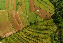 UPA anima a agricultores y ganaderos a formarse para mejorar “más allá de cumplir la normativa”