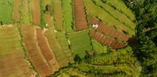UPA anima a agricultores y ganaderos a formarse para mejorar “más allá de cumplir la normativa”