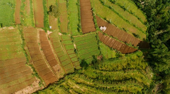 UPA anima a agricultores y ganaderos a formarse para mejorar “más allá de cumplir la normativa”