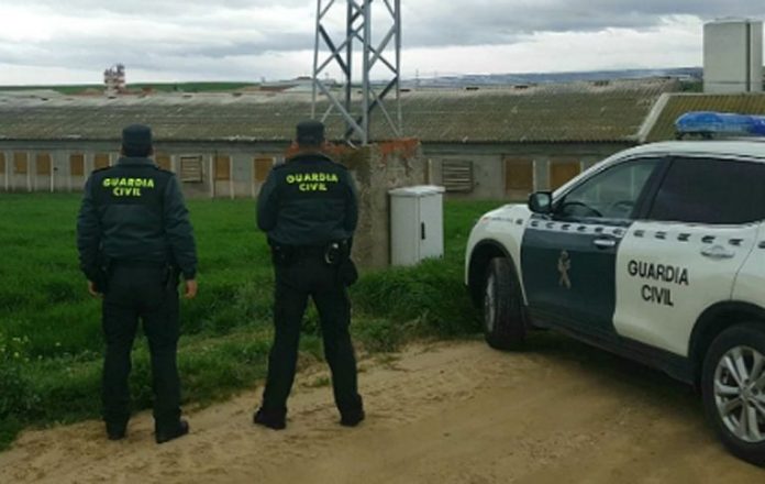 Guardia civil en el campo