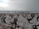 Granizo, viento, heladas y calor elevan las hectáreas agrarias afectadas a 1,28 millones pedrisco