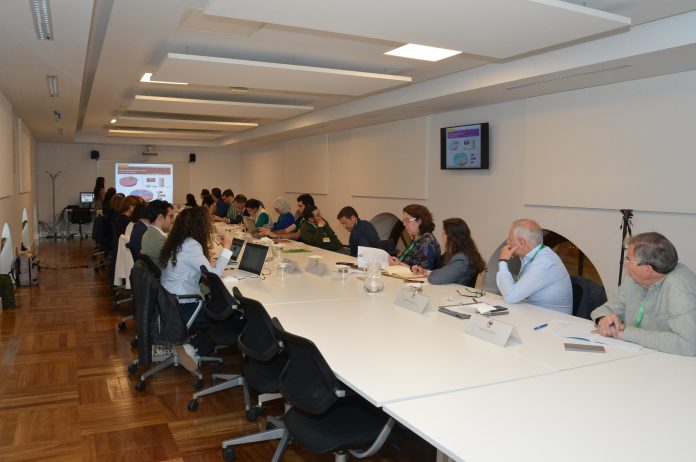 mesa sectorial del vacuno de carne