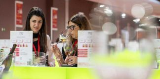 La Galería del Vino de FENAVIN Match 2026 se consolida como el gran escaparate de la revolución del vino español FENAVIN Match