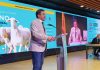 El presidente de la Diputación de Ciudad Real reivindica el peso estratégico del sector ganadero Dipu CR