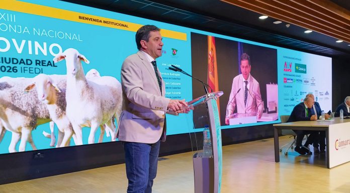 El presidente de la Diputación de Ciudad Real reivindica el peso estratégico del sector ganadero Dipu CR