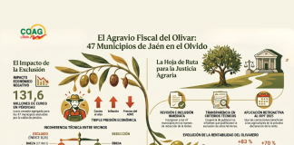Justifica la necesidad de bajar los módulos del IRPF 2025 del olivar en Jaén olivar en Jaén