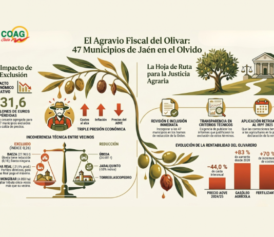 Justifica la necesidad de bajar los módulos del IRPF 2025 del olivar en Jaén olivar en Jaén