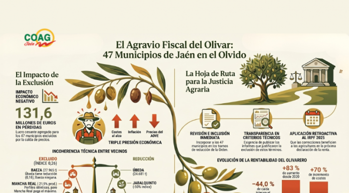 Justifica la necesidad de bajar los módulos del IRPF 2025 del olivar en Jaén olivar en Jaén