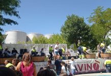 Castilla-La Mancha declara ‘Manchavino’, de Socuéllamos, como nueva Fiesta de Interés Turístico Regional Manchavino
