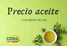 Precio medio en origen del aceite de oliva (14-mayo-2026)