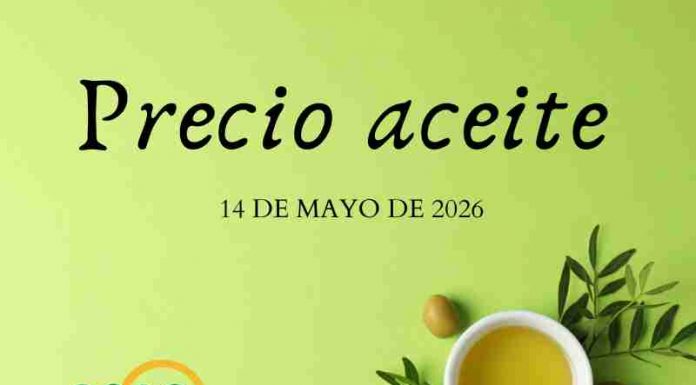 Precio medio en origen del aceite de oliva (14-mayo-2026)