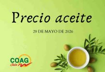 Precio medio en origen del aceite de oliva (29-mayo-2026) precio aceite