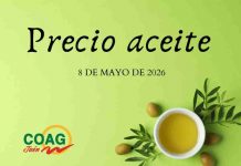 Precio medio en origen del aceite de oliva (8-mayo-2025) precio aceite