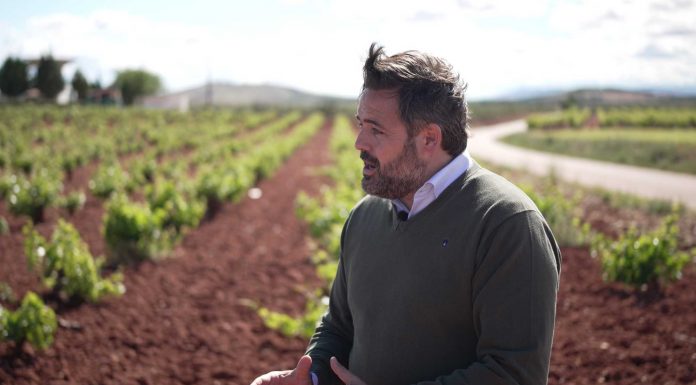 Entrevista. Paco Núñez: La agricultura de Castilla-La Mancha debe ser rentable, y para eso necesita agua” Paco Núñez