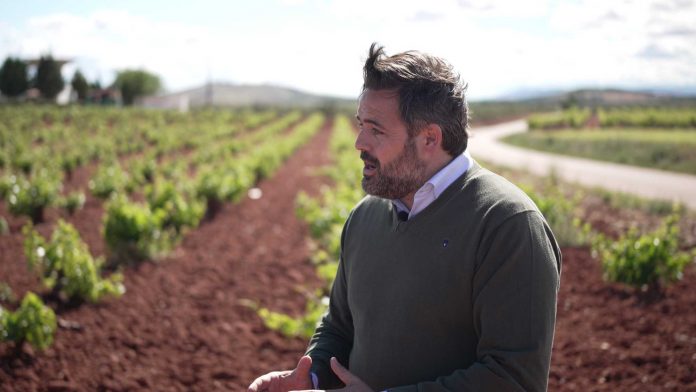 Paco Núñez