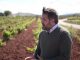 Entrevista. Paco Núñez: «La agricultura de Castilla-La Mancha debe ser rentable, y para eso necesita agua» Paco Núñez