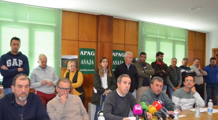 Los agricultores se plantan ante un proyecto solar fotovoltaico en un pueblo de Guadalajara afectados Fuentelencina