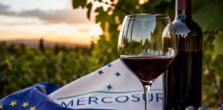 El Acuerdo UE-Mercosur entra en vigor entre opiniones para todos los gustos MERCOSUR