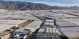 Syngenta abre en España un Centro Tecnológico de mejora vegetal de última generación para cultivos clave Centro Syngenta