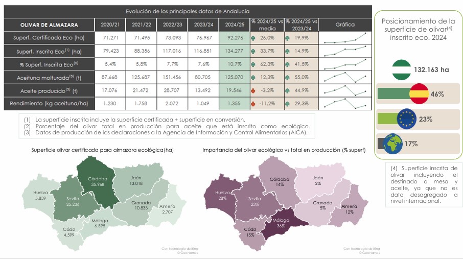datos aceite ecológico