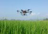 Reclama soluciones urgentes para desbloquear el uso de drones en tratamientos fitosanitarios dron