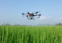 Reclama soluciones urgentes para desbloquear el uso de drones en tratamientos fitosanitarios dron