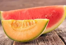 Arranca la campaña nacional de melón y sandía con buenos precios en origen melón y sandía