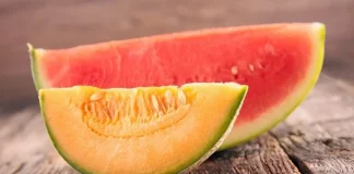 Arranca la campaña nacional de melón y sandía con buenos precios en origen melón y sandía