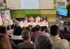 Presentan tres nuevas variedades de olivo resistentes a la verticilosis presentación olivar