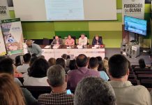 Presentan tres nuevas variedades de olivo resistentes a la verticilosis presentación olivar