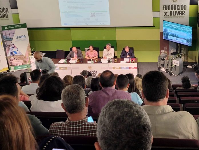 presentación olivar presentación olivar