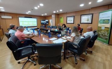 Cooperativas Agro-alimentarias de España prevé una cosecha de cereales media sectorial cereales Cooperativas