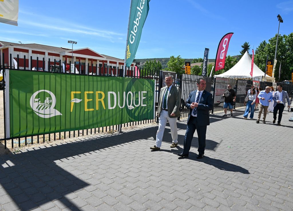 FERDUQUE