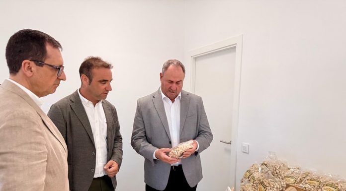 Copisalma, nueva cooperativa de pistacho de Castilla-La Mancha Copisalma