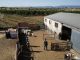 Vídeo. Detenido por tener 228 cabezas de ganado sin control sanitario en un pueblo de Toledo Operación Alkharuf