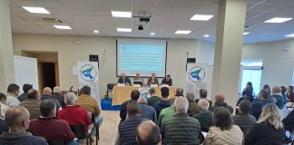 Mancha Occidental I presenta alegaciones contra planificación hidrológica del Guadiana por ser “muy perjudicial para los regantes” Mancha Occidental I
