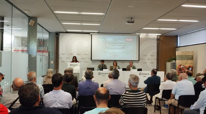 “Bravo Toledano. Historia de las ganaderías de bravo en la provincia de Toledo” recoge la importancia económica y medioambiental del sector Bravo Toledano