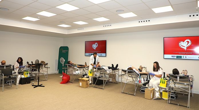 El ‘XVII Maratón de Donantes de Sangre’ celebrado en Eurocaja Rural alcanza las 231 donaciones Eurocaja Rural