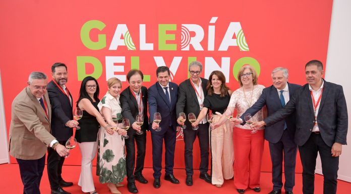 Ciudad Real acoge FENAVIN Match, “la gran feria del vino español” FENAVIN Match