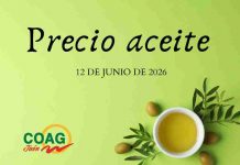 Precio medio en origen del aceite de oliva (12-junio-2026) Precio medio en origen del aceite de oliva