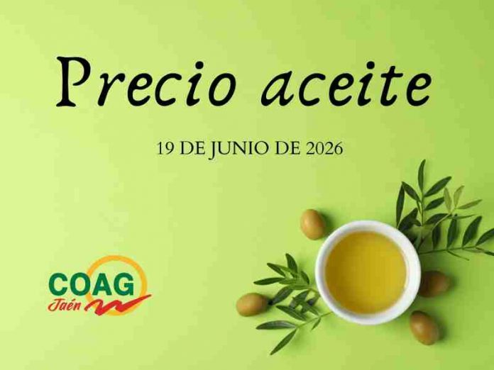 precio aceite de oliva