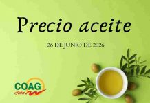Precio medio en origen del aceite de oliva (26-junio-2026)