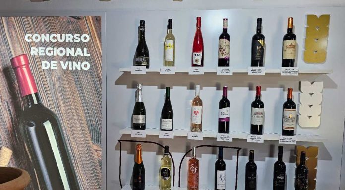 ¿Cuáles son los mejores vinos, aceites y quesos de los concursos de la Feria Nacional del Campo? Premios Vinos Fercam 2026