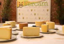 El 36º Concurso de Quesos Manchegos de Fercam busca la excelencia entre 41 muestras de la región Concurso de Quesos Manchegos