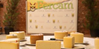 El 36º Concurso de Quesos Manchegos de Fercam busca la excelencia entre 41 muestras de la región Concurso de Quesos Manchegos
