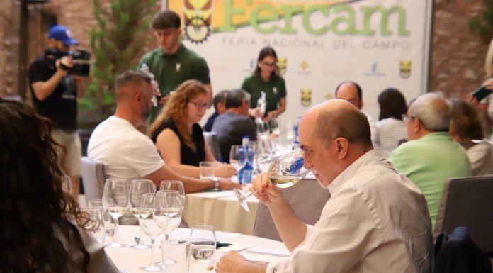 El 54º Concurso Regional de Calidad de Vinos de Fercam bate récords históricos Catas de vino Fercam