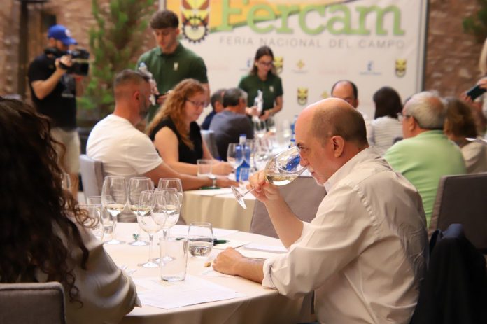 Catas de vino Fercam