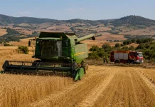 Agricultores exigen compensaciones económicas por cada día de prohibición de la siega por temperaturas cosechadora