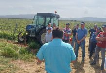 El Ministerio forma en técnicas de Agricultura de Conservación a setecientos agricultores Agricultura de Conservación