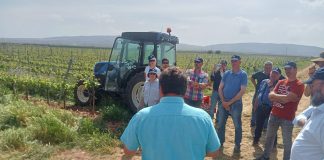 El Ministerio forma en técnicas de Agricultura de Conservación a setecientos agricultores Agricultura de Conservación